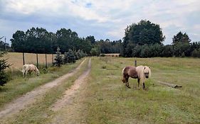 Hacienda Natura Agroturystyka